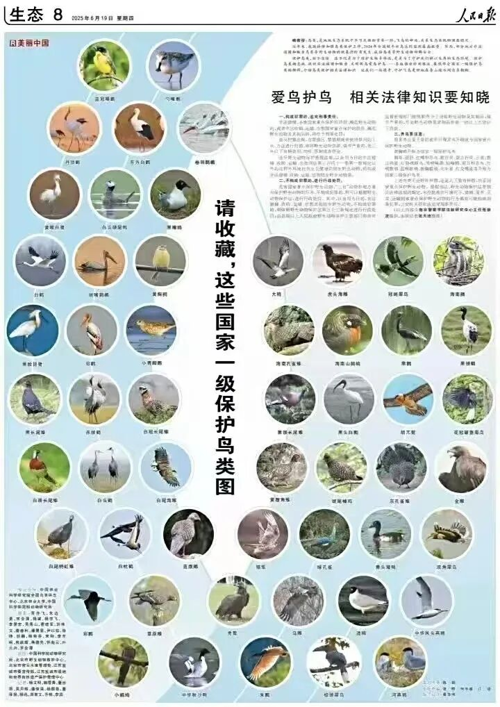 【生态文明】关于野生鸟类动物保护相关知识,请知悉!.png