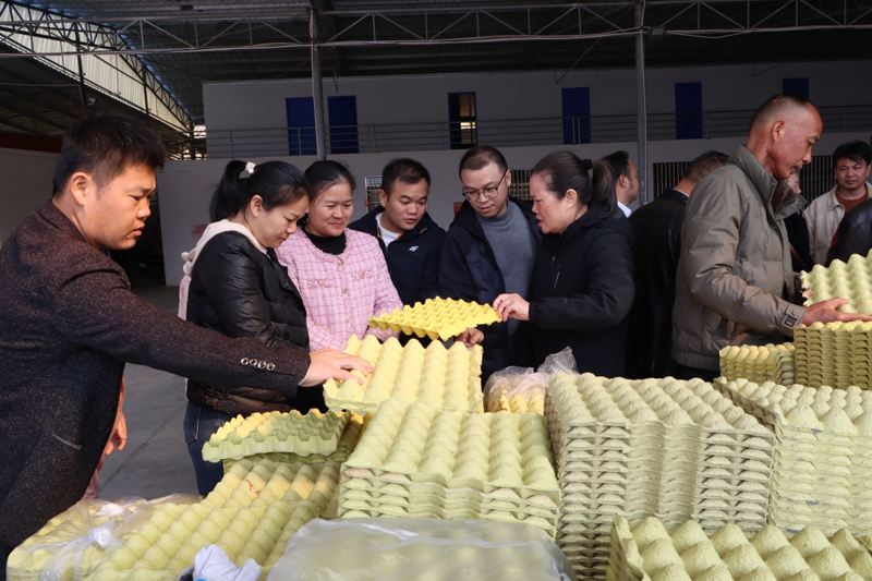 【乡村振兴】开展设施农业调研 赋能乡村产业振兴2.png