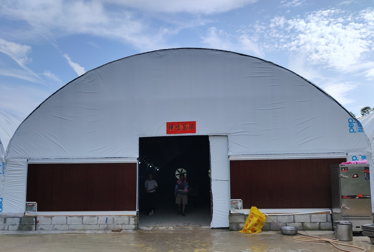 【乡村振兴】人大代表出马,铺开乡村振兴“新丝路”3.png