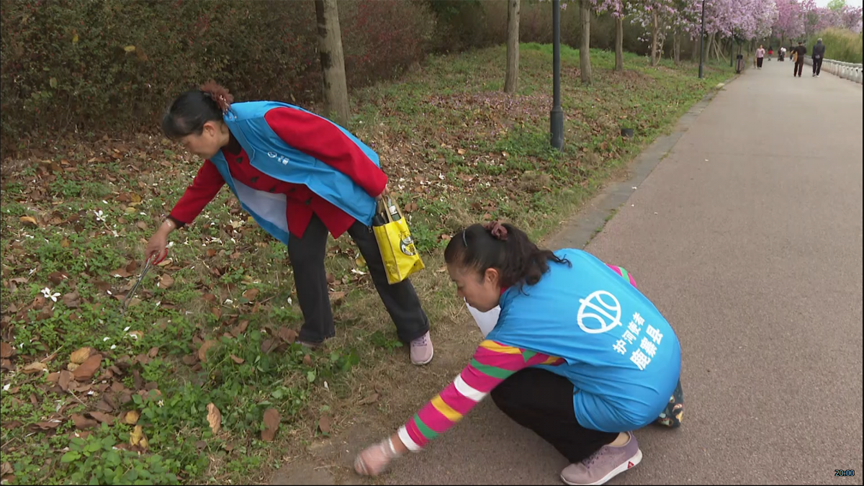 【新时代 新雷锋】银龄耀鹿寨 志愿映初心3.png