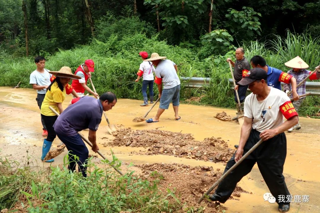 鹿寨:风雨逆行的党员 逆洪流升起鲜红党旗6.jpg