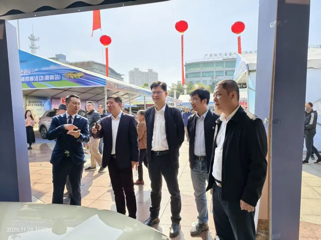 新能源汽车展销,为县域绿色经济发展注入强劲动力3.png