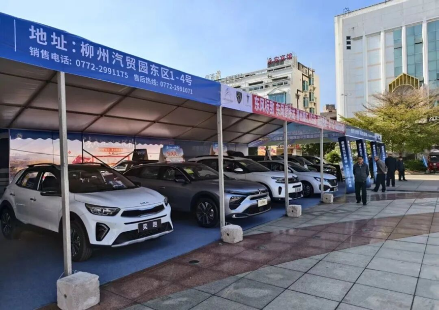 新能源汽车展销,为县域绿色经济发展注入强劲动力4.png